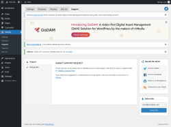 Page screenshot: rtMedia → Support