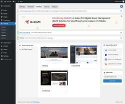 Page screenshot: rtMedia → Themes