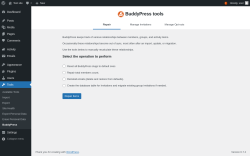 Page screenshot: Tools &rarr; BuddyPress