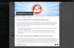 Page screenshot: Dashboard &lsaquo; Test site &mdash; WordPress