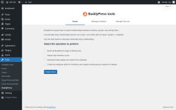 Page screenshot: Tools → BuddyPress