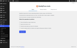 Page screenshot: Tools &rarr; BuddyPress