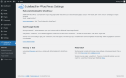 Page screenshot: Builderall for WordPress
