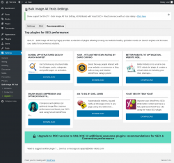 Page screenshot: Settings → Bulk Image Alt Text → Recommendations
