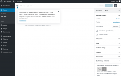 Page screenshot: Add New Post ‹ Test site — WordPress