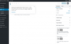 Page screenshot: Add New Page ‹ Test site — WordPress