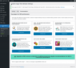 Page screenshot: Bulk Image Alt Text → Recommendations