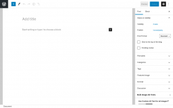 Page screenshot: Add New Post ‹ Test site — WordPress
