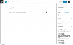 Page screenshot: Add New Page ‹ Test site — WordPress