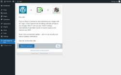 Page screenshot: Bulk Image Alt Text Settings ‹ Test site — WordPress