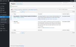 Page screenshot: Plugins &lsaquo; Test site &mdash; WordPress