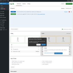 Page screenshot: Dashboard &rarr; Statistics