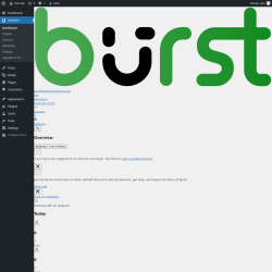 Page screenshot: Dashboard &lsaquo; Test site &mdash; WordPress