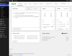 Page screenshot: Overview &lsaquo; Test site &mdash; WordPress
