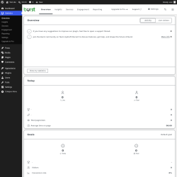 Page screenshot: Overview &lsaquo; Test site &mdash; WordPress