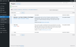 Page screenshot: Plugins &lsaquo; Test site &mdash; WordPress