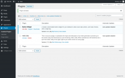 Page screenshot: Plugins &lsaquo; Test site &mdash; WordPress