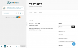 Page screenshot: Buttonizer