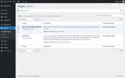 Page screenshot: Plugins ‹ Test site — WordPress