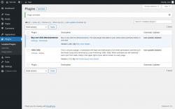 Page screenshot: Plugins ‹ Test site — WordPress