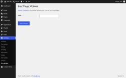 Page screenshot: Settings &rarr; Buy Widget