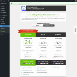 Page screenshot: Dynamic Content → Upgrade  ➤