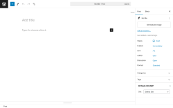 Page screenshot: Add New Post ‹ Test site — WordPress