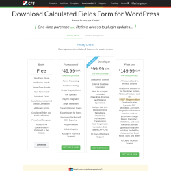 Page screenshot: Calculated Fields Form → Upgrade