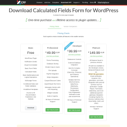 Page screenshot: Calculated Fields Form → Upgrade