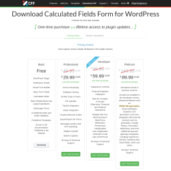 Page screenshot: Calculated Fields Form &rarr; Upgrade