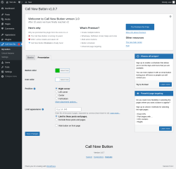 Page screenshot: Call Now Bu&hellip; &rarr; Presentation