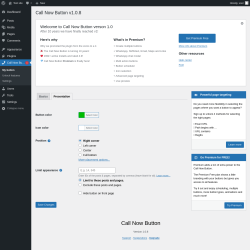 Page screenshot: Call Now Bu&hellip; &rarr; Presentation