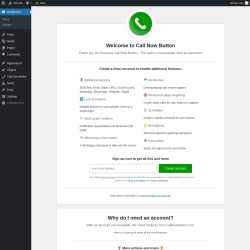 Page screenshot: Welcome to Call Now Button &lsaquo; Test site &mdash; WordPress
