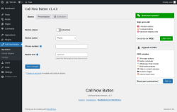 Page screenshot: Call Now Button