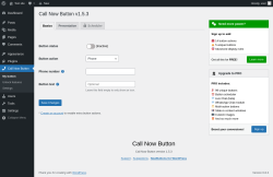 Page screenshot: Call Now Button