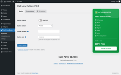 Page screenshot: Call Now Button