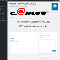 Page screenshot: Camoo SMS