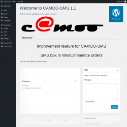 Page screenshot: Camoo SMS