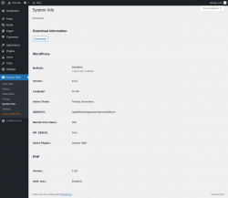 Page screenshot: Camoo SMS → System Info