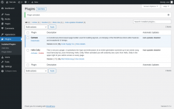 Page screenshot: Plugins &lsaquo; Test site &mdash; WordPress