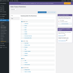 Page screenshot: Capabilities → Editor Features