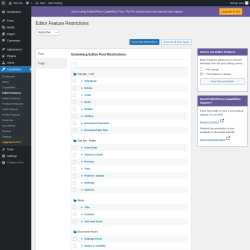 Page screenshot: Capabilities → Editor Features