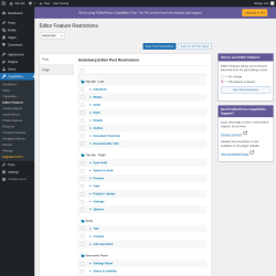 Page screenshot: Capabilities &rarr; Editor Features