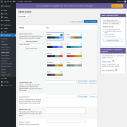 Page screenshot: Capabilities &rarr; Admin Styles