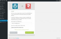 Page screenshot: Captcha Bank