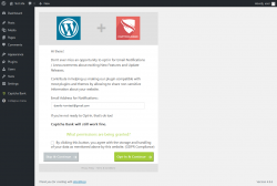 Page screenshot: Wizard ‹ Test site — WordPress