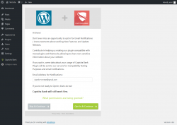 Page screenshot: Wizard ‹ Test site — WordPress