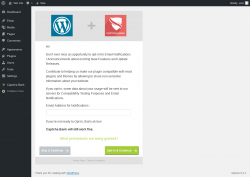 Page screenshot: Wizard ‹ Test site — WordPress
