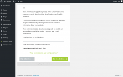 Page screenshot: Wizard ‹ Test site — WordPress