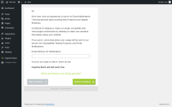 Page screenshot: Wizard ‹ Test site — WordPress
